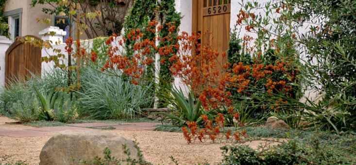 Orange and Green Desert Garden by Grow Outdoor Design, Grasses and Gravel, Gardenista